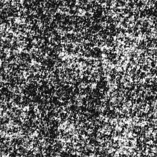 data/78df2c1f-e442-415d-a382-fa7925af0c4b/98d44b1e-c227-4efa-9c66-7cb025386fcbimage.png